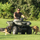Illustration for article titled Jon Gosselin Gets Rid Of Family Dogs; Chris Brown Begins Community Service
